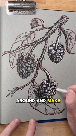 How to draw raspberries using simple shapes