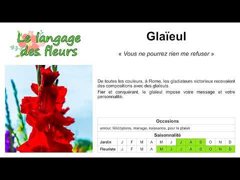 Le langage des fleurs