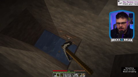 To craft a butterfly - Minecraft hardcore