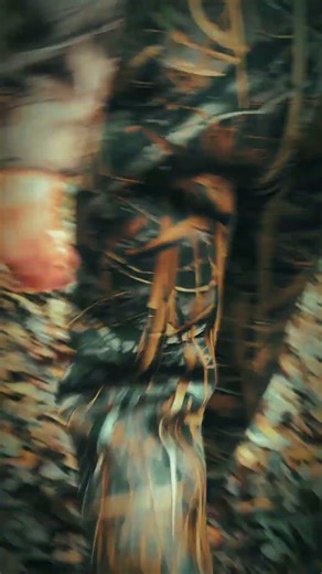 Morning wood #duckhunting #fishing #country