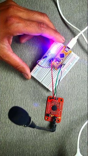 Voice Recognition Module