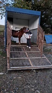 590K views · 10K reactions | Not many recently handled babies a 7yo...