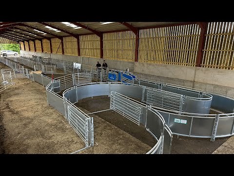 NEW Veno Sheep System | @LivestockFarmher | Scotland UK