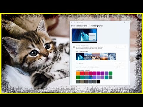 Windows 11: Wallpaper, Colors, Slideshow & Windows Spotlight 😺