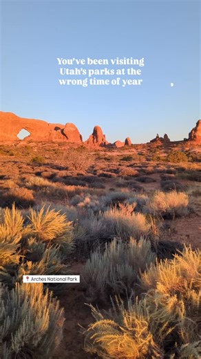 There’s something special about Utah in late October. ☀️ The crowds are gone, the air is crisp, and the light turns everything golden. It’s one of my favorite times to visit the desert parks. Everything feels calmer, quieter, and more alive. If you’re planning a fall trip, don’t overlook the desert. 📍 Arches – perfect stargazing views and glowing red rocks at sunset 📍 Canyonlands – wide-open views without the summer heat 📍 Zion – fewer crowds and perfect hiking weather Fall doesn’t last long 