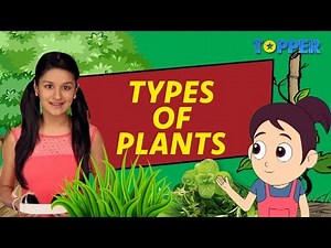 All about Plants | Types and Uses of Plants | Class 1 to 5 Science |