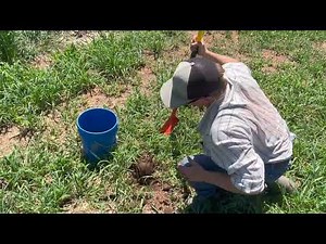 How to Do Soil Sampling for the CDFA Healthy Soils Program