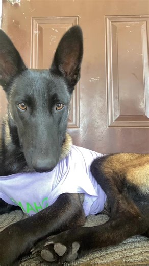 漂亮的女孩❤️🤍 (@kittyheart7)’s videos with original sound - stephanie jack