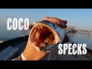 Jigging Summer Specks in Cocodrie, Louisiana