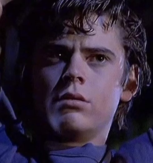 Understanding The Outsiders Characters - Ponyboy Curtis