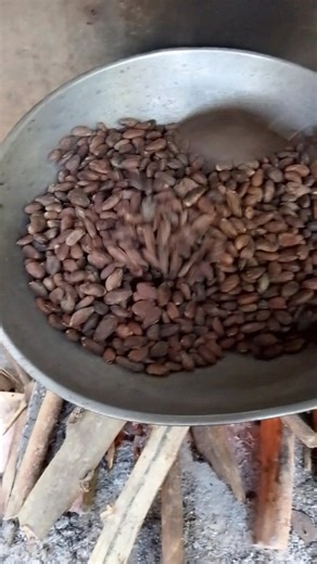 Gisanlag ang cacao aron ipagling mahimo dayon tableya chocolate.. #hightlights #tableya | Nancel Rubin Abrea