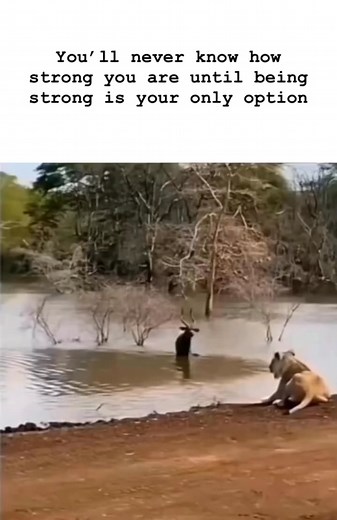 #BeInspired | Be Inspired