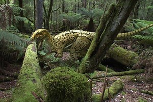 Chemistry 1301: Thermochemistry