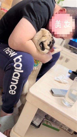 Insisting on having relatives home... Can you tell that Little Dudun is disgusted#Bago#Cut