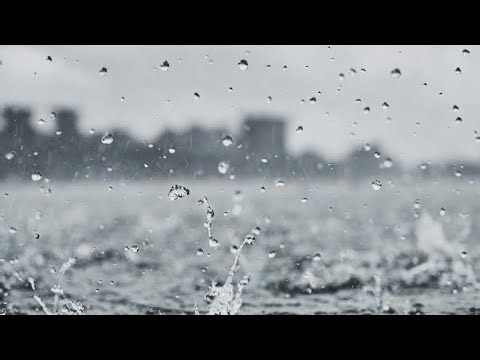 Relaxing Sound of Rain 1 Hour / Rain Drop Falling From Trees With Wind 