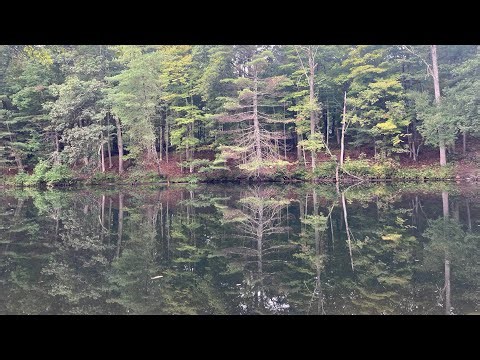 First Glimpses of Autumn - Nature’s Shift From Summer to Fall (‪@TheNatureBreak‬)