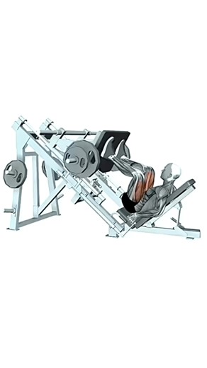 Leg press machine normal stance (3).mp4