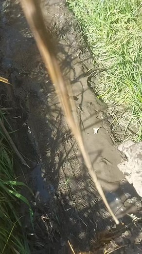 Exploring a Muddy Waterlogged Pathway in Nature