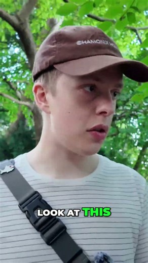 Mysterious Woods: Encountering Alien Obelisk and Deer! #shorts