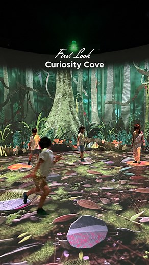 Big news for little explorers: Curiosity Cove — Singapore’s largest indoor nature-inspired playscape — opens at Mandai Wildlife Reserve. Designed for ages 3-12, with four themed zones, endless adventures, and zero rain checks. Perfect for your next family day out! 📍 Curiosity Cove at Mandai Wildlife Reserve #VisitSingapore #Singapore #MandaiWildlifeReserve #CuriosityCove | VisitSingapore