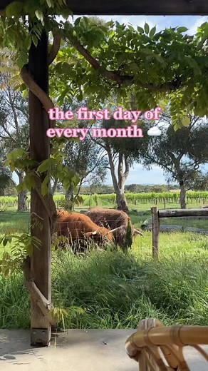 a year through our bedroom window ☁️ #cow #cottage #slowliving (ib: @the.cloud.forecast)