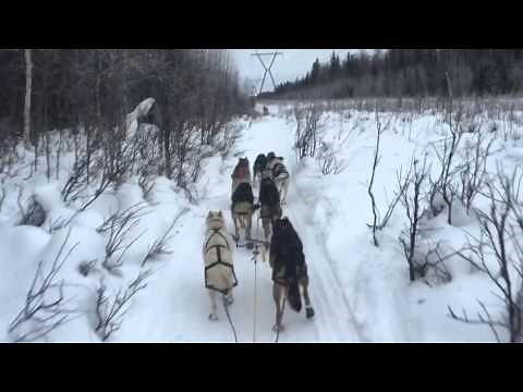 Mushing commands