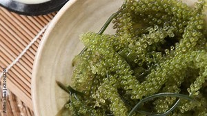 Umi-budou Seaweed or Green Caviar Healthy sea food or sea grapes seaweed on plate, Caulerpa lentillifera - sea grapes or green caviar.