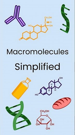 Macromolecules Simplified