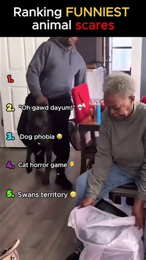 Ranking Funniest Animal Scares!!