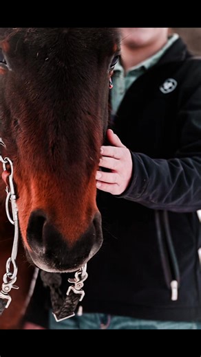 We took advantage of the snow. May have been 12° but we managed to capture some pretty great moments for @Kinslee🂱 and her horses. @CB⚡️ thanks for letting us! #fyp #fypシ #horses #equine #photographer