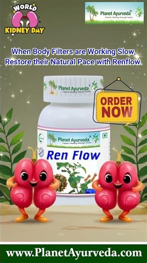 Body Filters / Kidneys Work Slow? Restore their Natural Smooth Flow, Trusting Pure Ayurvedic Renflow