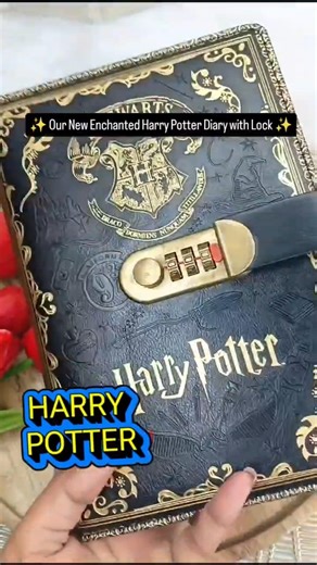 Harry Potter Diaries