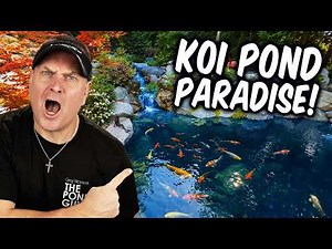 Backyard Resort for Grandma! (Koi Pond, Pool & Hot Tub Tour)