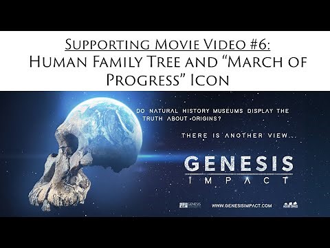 Human Evolution Tree and March of Progress