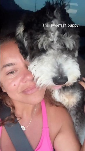 The best Australian Mountain Doodle Puppy from Cottonwood Creek Doodles!