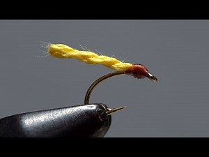 Furled Chimarra Caddis Larva