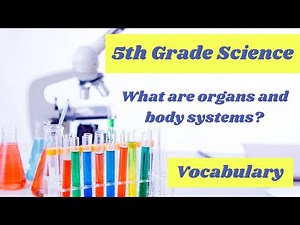 What are organs and organ systems vocabulary words // 5th grade science eLearning lesson