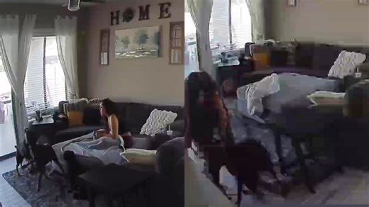 Ring camera footage shows intense fight between 2 HYPERAGGRESSIVE dogs