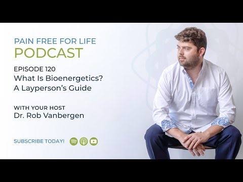 What Is Bioenergetics? A Layperson’s Guide