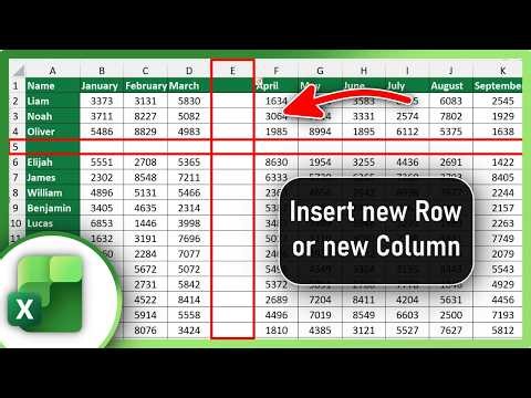 How to Insert Rows and Columns in Excel
