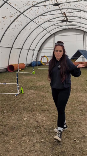 🎓 Atelier GRATUIT – “Pourquoi mon chien ne m’écoute pas?” 🐾 Tu as l’impression de toujours répéter les mêmes commandes sans résultat? 🙉 Ton chien t’écoute… quand lui en a envie? 😅 Viens découvrir les vraies raisons derrière ce comportement et repars avec des outils concrets pour améliorer votre communication! 💡 💬 Thèmes abordés : 🐶 Comprendre la motivation du chien 🧠 Les erreurs les plus fréquentes en entraînement 🎯 Comment bâtir une relation basée sur la confiance et la clarté 📅 Date 