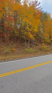 Fall memories😍 Foothills parkway, November 2025 | I Love The Smoky Mountains