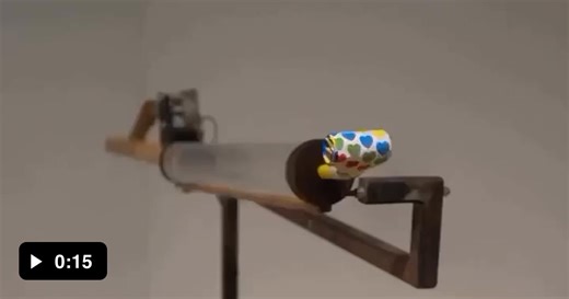 Who would have thought even politicians are being replaced by robots - Video