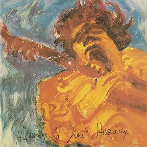 Jimi Hendrix - The Jimi Hendrix Concerts