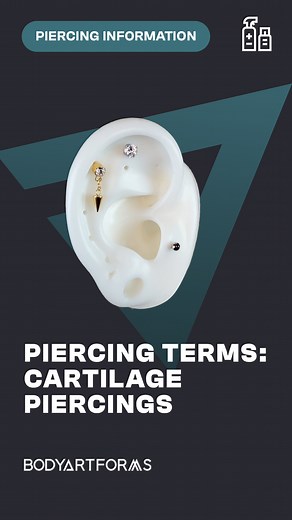 Is a nose piercing a cartilage piercing? Technically it is. In our Piercing Terms Made Easy series, we’ll go over what cartilage piercing means. If you need jewelry for your cartilage piercings, shop our site at bodyartforms.com | Bodyartforms
