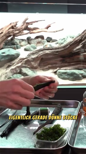 I Spent 100 Hours Gluing Tiny Moss