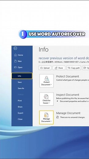 Recover Previous Version of Word Doc After Saving (Easy Fix!)#msword