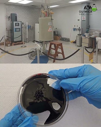 Licenciatura en Química en la UAM