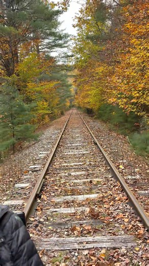 It’s the last scheduled weekend to ride the South River Run in North Creek, NY! Take one more spin through the forest and along the Hudson River — a calm, scenic ride made for soaking it all in. 🎟️ Book your ride: revrail.com/south-river-run | Revolution Rail