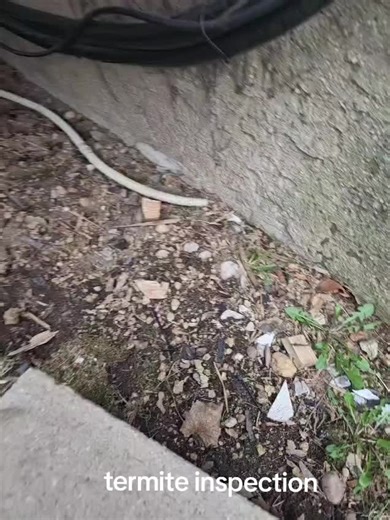 Supreme Pest Control LLC. ny on TikTok